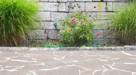 Garten Upgrade mit Polygonalplatten – Das solltest du wissen!